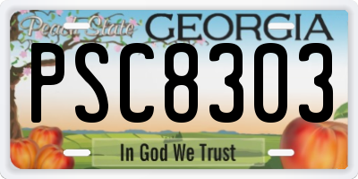 GA license plate PSC8303