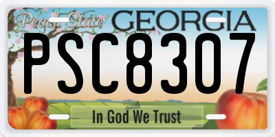 GA license plate PSC8307