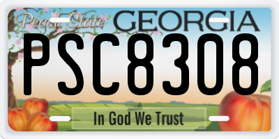 GA license plate PSC8308