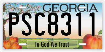 GA license plate PSC8311