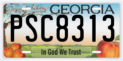 GA license plate PSC8313