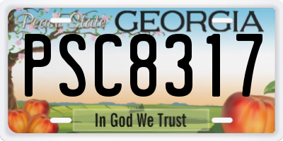 GA license plate PSC8317