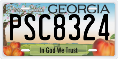 GA license plate PSC8324