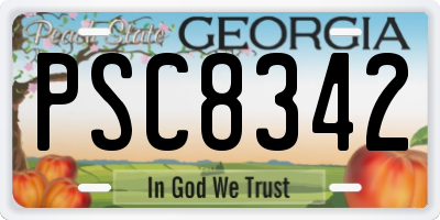GA license plate PSC8342