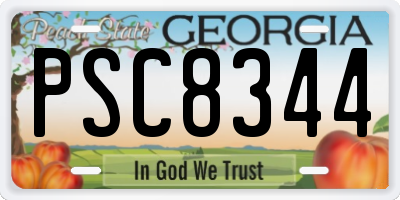 GA license plate PSC8344