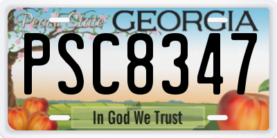 GA license plate PSC8347