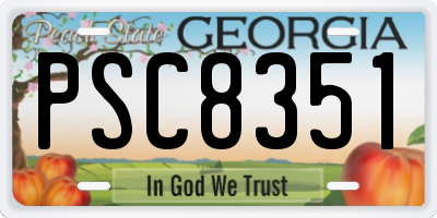 GA license plate PSC8351