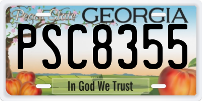 GA license plate PSC8355
