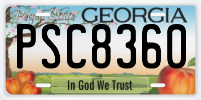GA license plate PSC8360