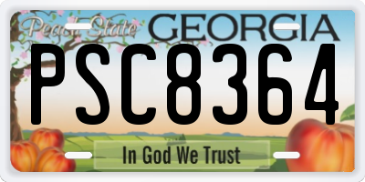 GA license plate PSC8364