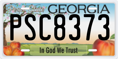GA license plate PSC8373