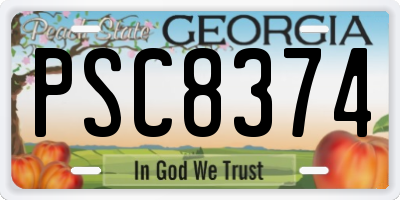 GA license plate PSC8374