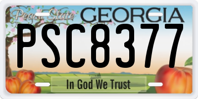 GA license plate PSC8377