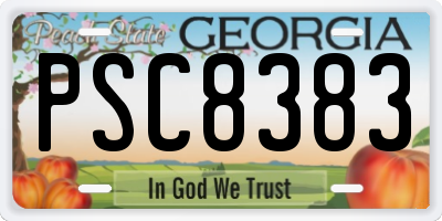 GA license plate PSC8383