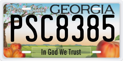GA license plate PSC8385