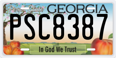 GA license plate PSC8387