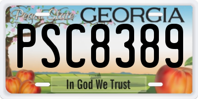GA license plate PSC8389