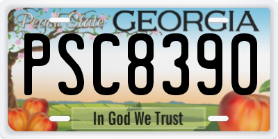 GA license plate PSC8390