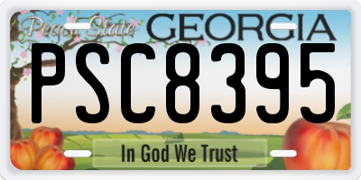 GA license plate PSC8395