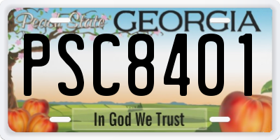 GA license plate PSC8401