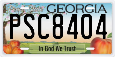 GA license plate PSC8404