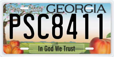 GA license plate PSC8411