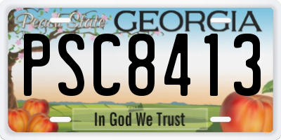 GA license plate PSC8413