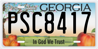 GA license plate PSC8417