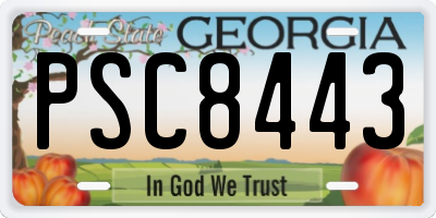 GA license plate PSC8443