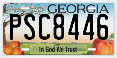 GA license plate PSC8446