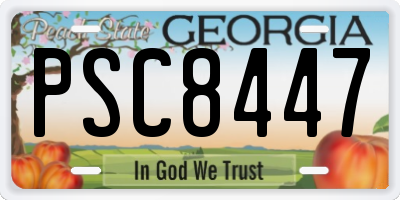 GA license plate PSC8447