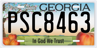 GA license plate PSC8463