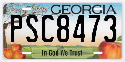 GA license plate PSC8473