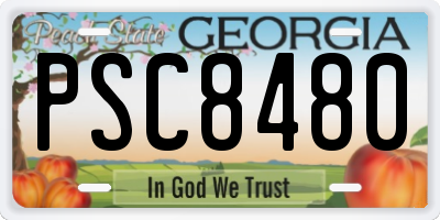 GA license plate PSC8480