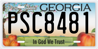 GA license plate PSC8481