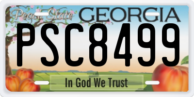 GA license plate PSC8499