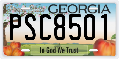 GA license plate PSC8501