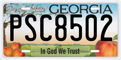 GA license plate PSC8502