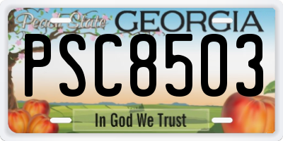 GA license plate PSC8503
