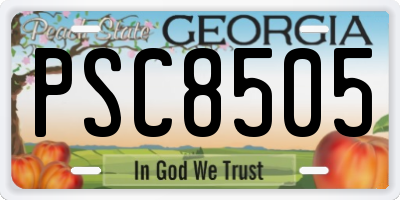 GA license plate PSC8505
