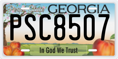 GA license plate PSC8507