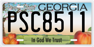 GA license plate PSC8511