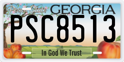 GA license plate PSC8513