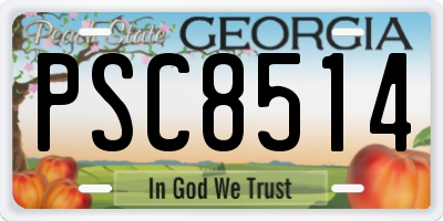 GA license plate PSC8514