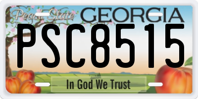 GA license plate PSC8515