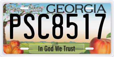 GA license plate PSC8517