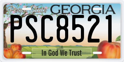 GA license plate PSC8521