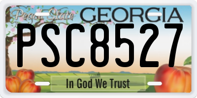 GA license plate PSC8527