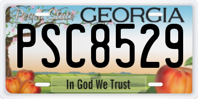GA license plate PSC8529