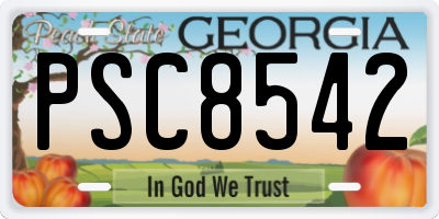 GA license plate PSC8542